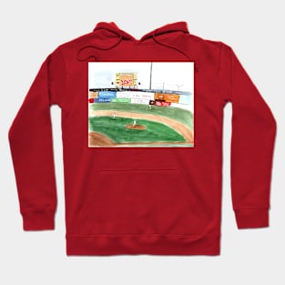 Baseball in action Hoodie